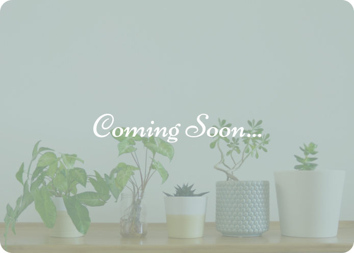 Comming Soon...